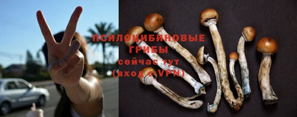 дмт Алексин