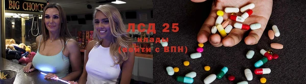 амф Алзамай