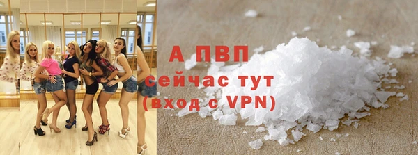 дмт Алексин