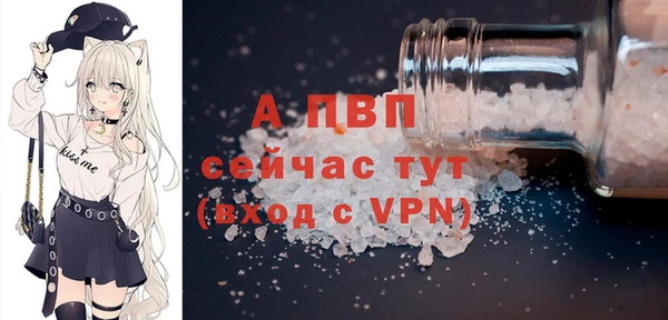 молекула духа Арсеньев