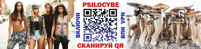 Псилоцибиновые грибы MAGIC MUSHROOMS  кракен ТОР  Куса 